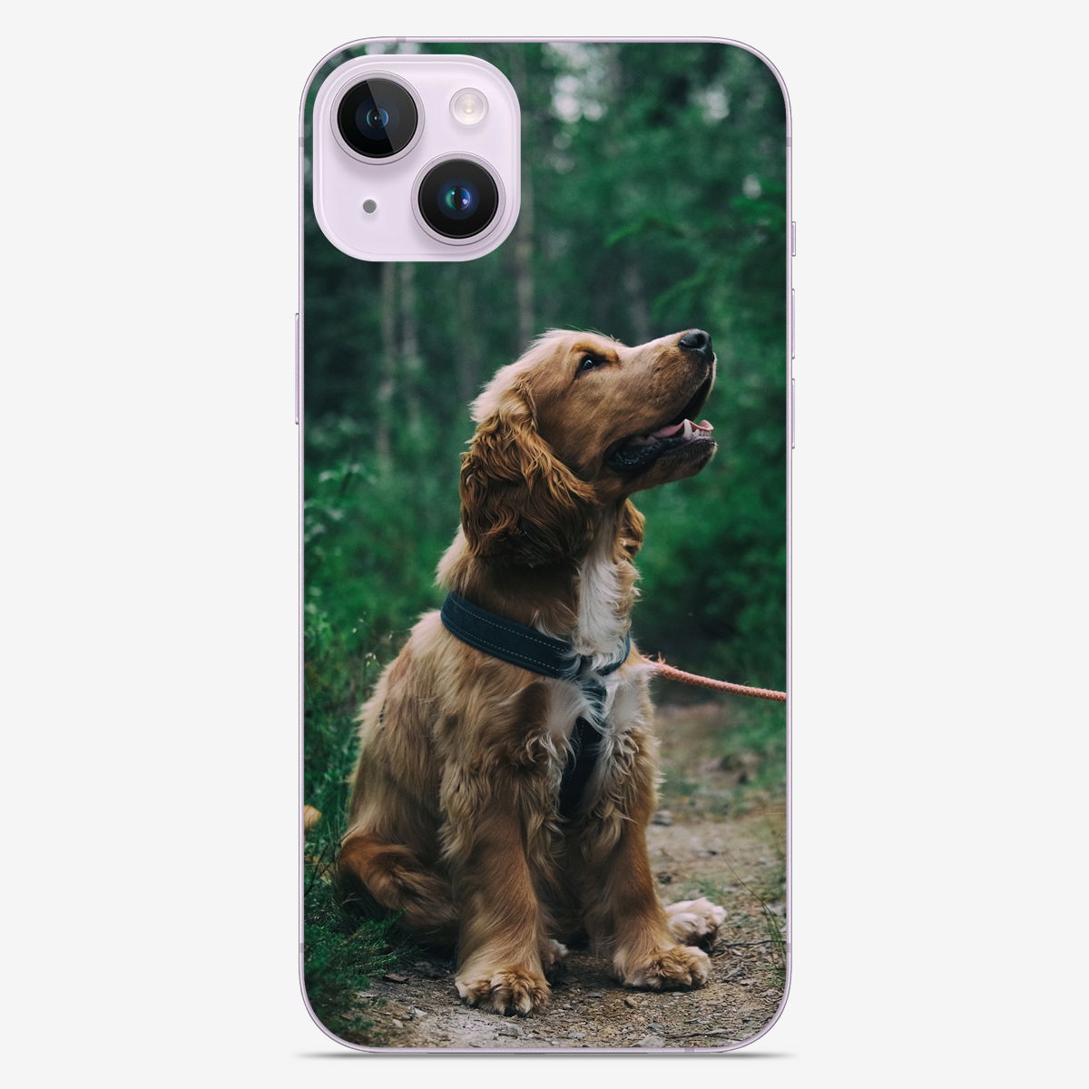 iPhone 14 Plus Skin 18064